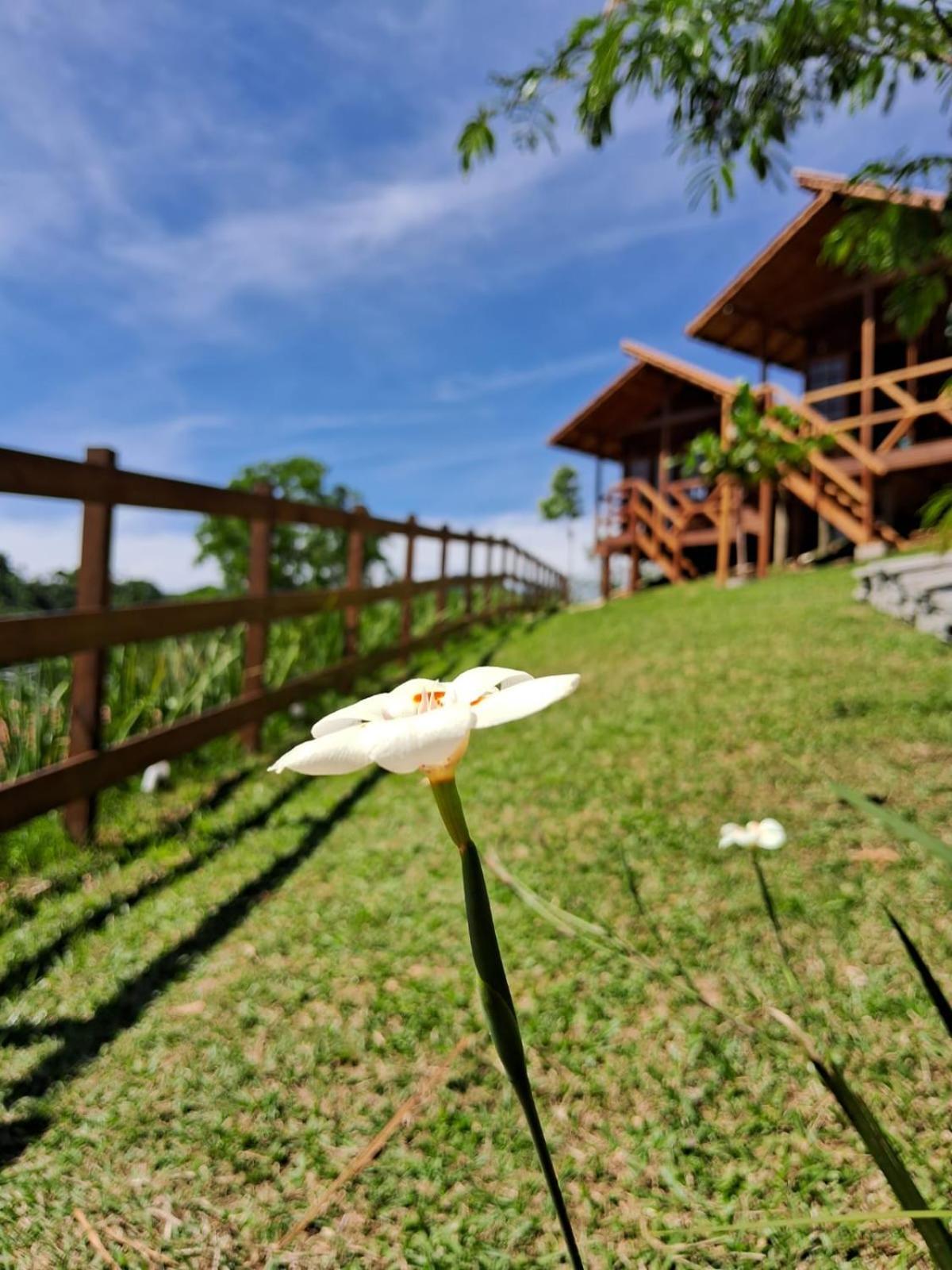 Pousada Hoff Haus Pomerode Ngoại thất bức ảnh